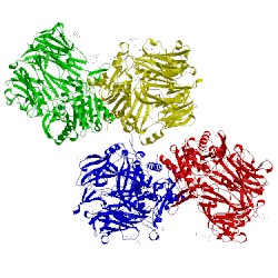 Image of CATH 1r9m