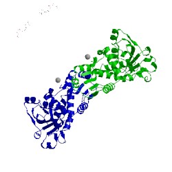 Image of CATH 1rac