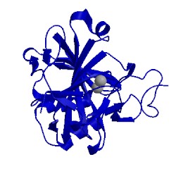 Image of CATH 1raz
