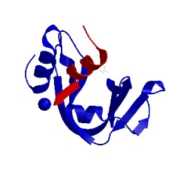 Image of CATH 1rbc