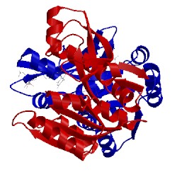 Image of CATH 1rbz