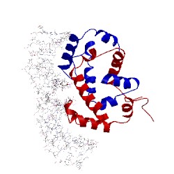 Image of CATH 1rcs