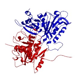 Image of CATH 1rdx