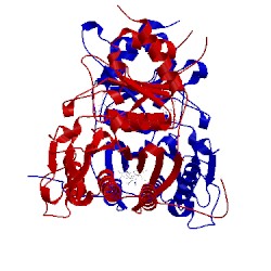 Image of CATH 1rdy