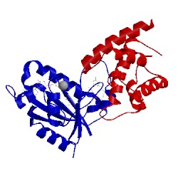 Image of CATH 1re0