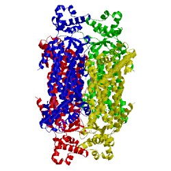 Image of CATH 1re5