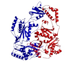 Image of CATH 1rev