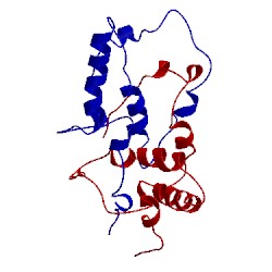 Image of CATH 1rfb