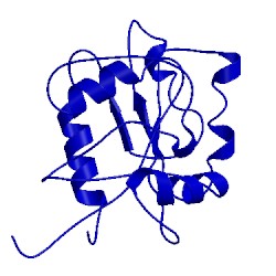 Image of CATH 1rfl