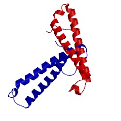 Image of CATH 1rfy