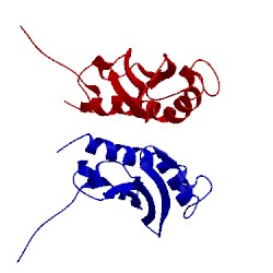 Image of CATH 1rg0