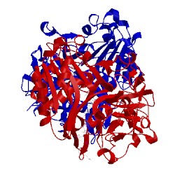 Image of CATH 1rg1