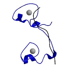 Image of CATH 1rgo