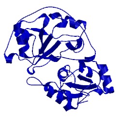 Image of CATH 1rhd