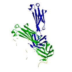 Image of CATH 1rhh