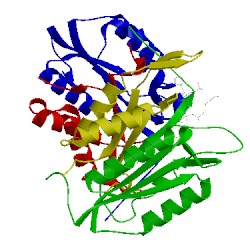 Image of CATH 1rhj