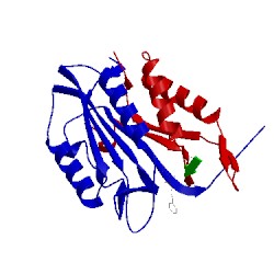 Image of CATH 1rhk