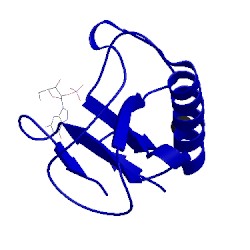 Image of CATH 1rhl