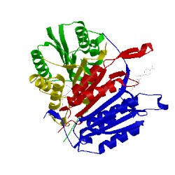 Image of CATH 1rhm