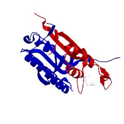 Image of CATH 1rhr