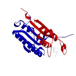 Image of CATH 1rhu