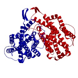 Image of CATH 1rib