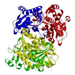 Image of CATH 1rii