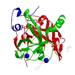 Image of CATH 1riw
