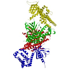 Image of CATH 1rj2