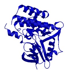 Image of CATH 1rjb