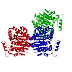 Image of CATH 1rjf