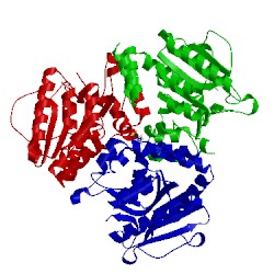 Image of CATH 1rjm