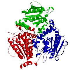 Image of CATH 1rjn