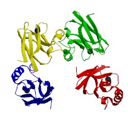 Image of CATH 1rkr