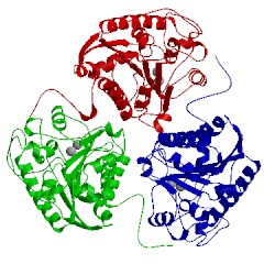 Image of CATH 1rla