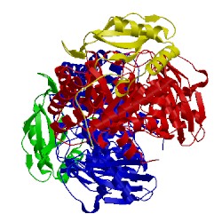 Image of CATH 1rld