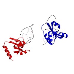 Image of CATH 1rlg