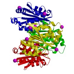 Image of CATH 1rli