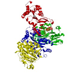 Image of CATH 1rlt