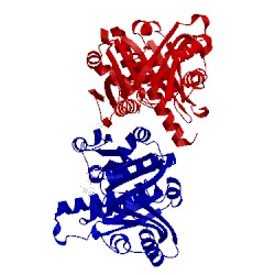 Image of CATH 1rlu