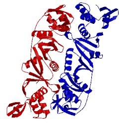 Image of CATH 1rlv