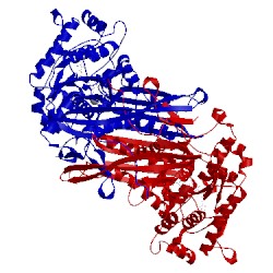 Image of CATH 1rm0