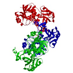 Image of CATH 1rm4