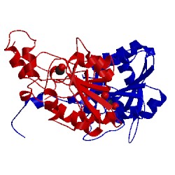 Image of CATH 1rmq