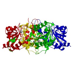 Image of CATH 1rmt