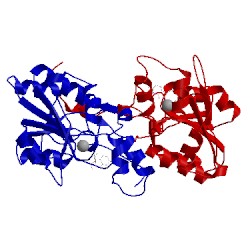 Image of CATH 1rmy