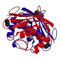 Image of CATH 1ros