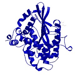 Image of CATH 1rpa