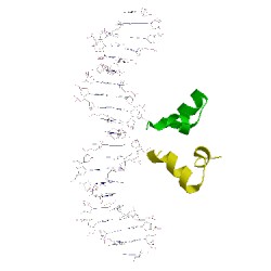 Image of CATH 1rpe