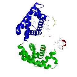 Image of CATH 1rps